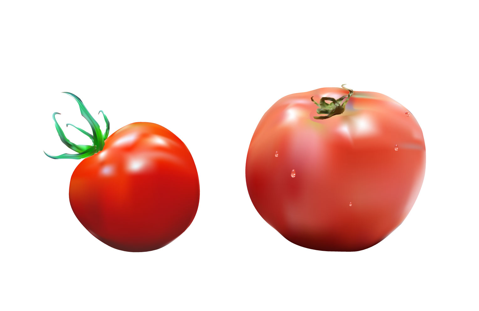 Illustrator トマトを描く Wand わんど 株式会社あんどぷらすのオウンドメディア