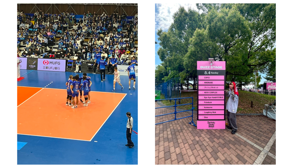 バレーボール観戦とフェスの画像